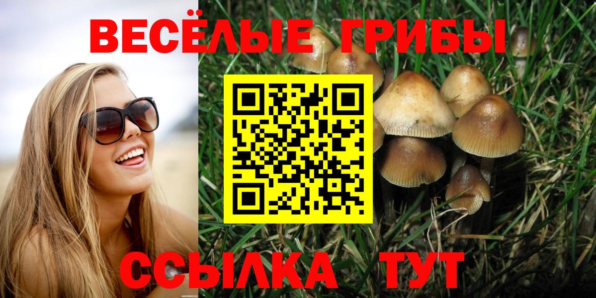 Псилоцибиновые грибы MAGIC MUSHROOMS Белорецк