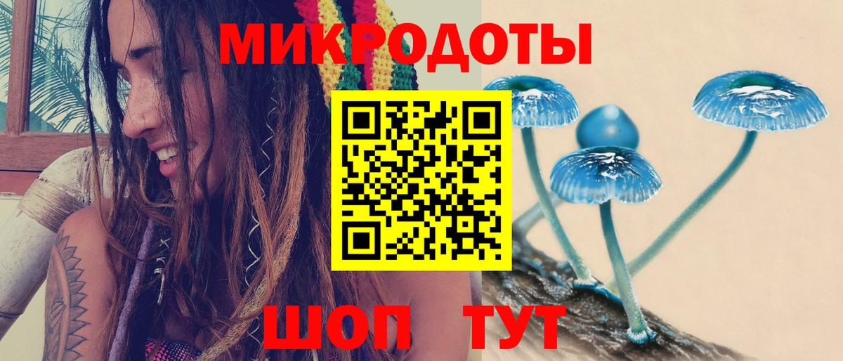 Галлюциногенные грибы Psilocybine cubensis  Вход с VPN  Белорецк 